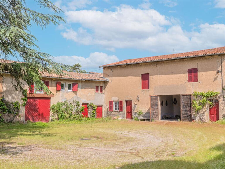 Maison Orliénas - 8 chambres - 522m²