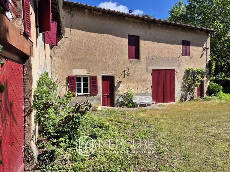 Propriété Orliénas - 8 chambres - 440m²