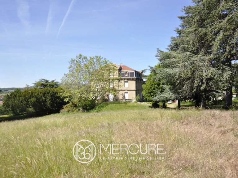 Propriété Orliénas - 8 chambres - 440m²