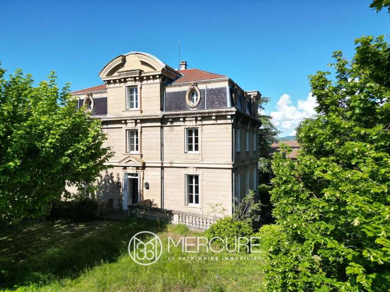 Propriété Orliénas - 8 chambres - 440m²