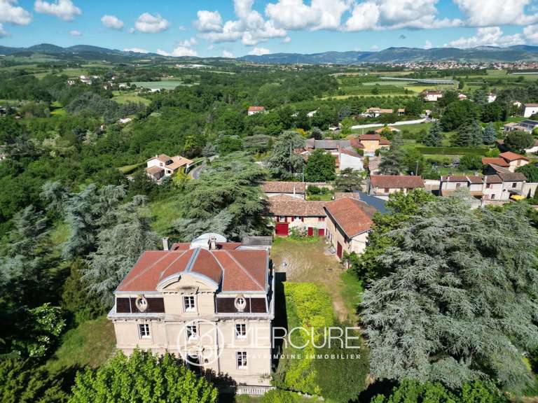 Propriété Orliénas - 8 chambres - 440m²