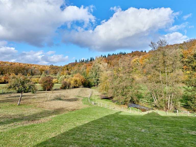 House Ouilly-du-Houley - 4 bedrooms - 265m²