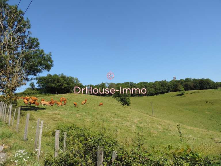 Terrain Oyeu - 827200m²