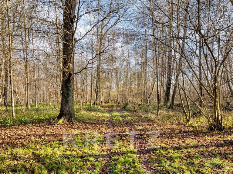 Maison Pacy-sur-Eure - 4 chambres - 220m²