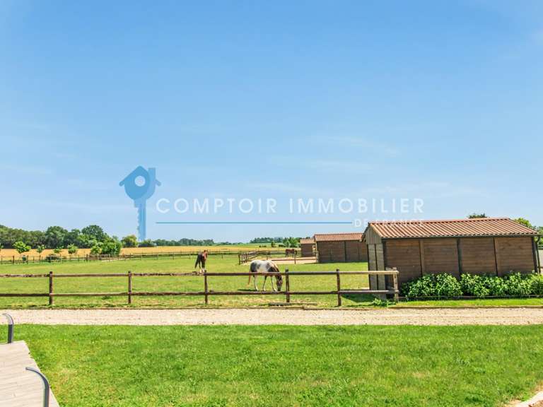 Maison Pacy-sur-Eure - 5 chambres - 270m²