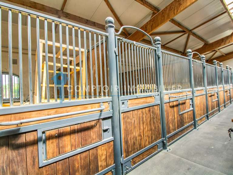 Maison Pacy-sur-Eure - 5 chambres - 270m²