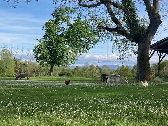 Maison Pailhès - 10 chambres - 585m²