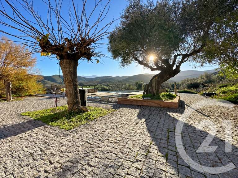Maison Palasca - 5 chambres - 177m²