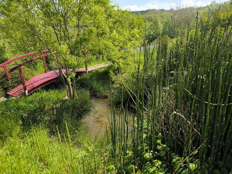 Propriété Pamiers - 5 chambres - 374m²