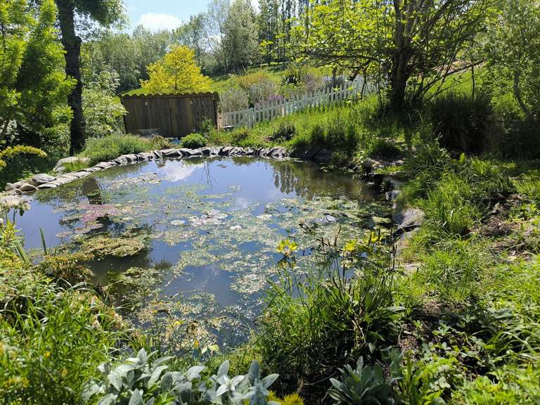 Propriété Pamiers - 5 chambres - 374m²