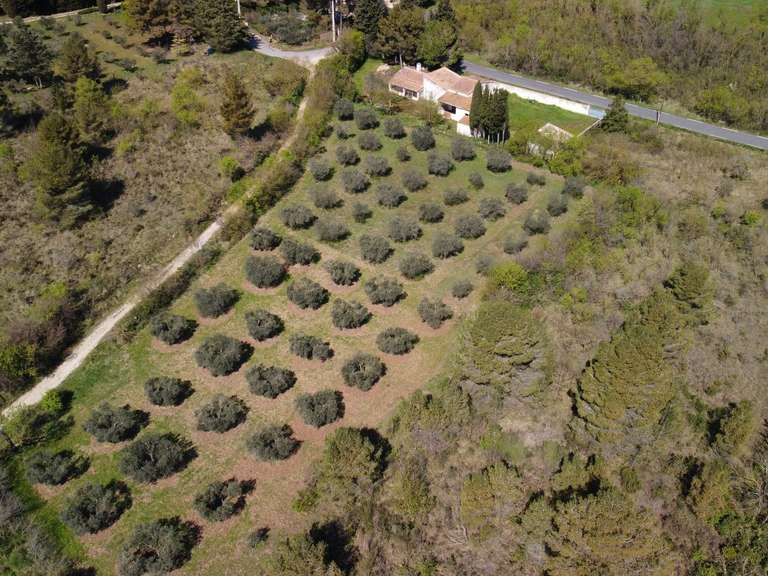 Maison Paradou - 4 chambres - 160m²