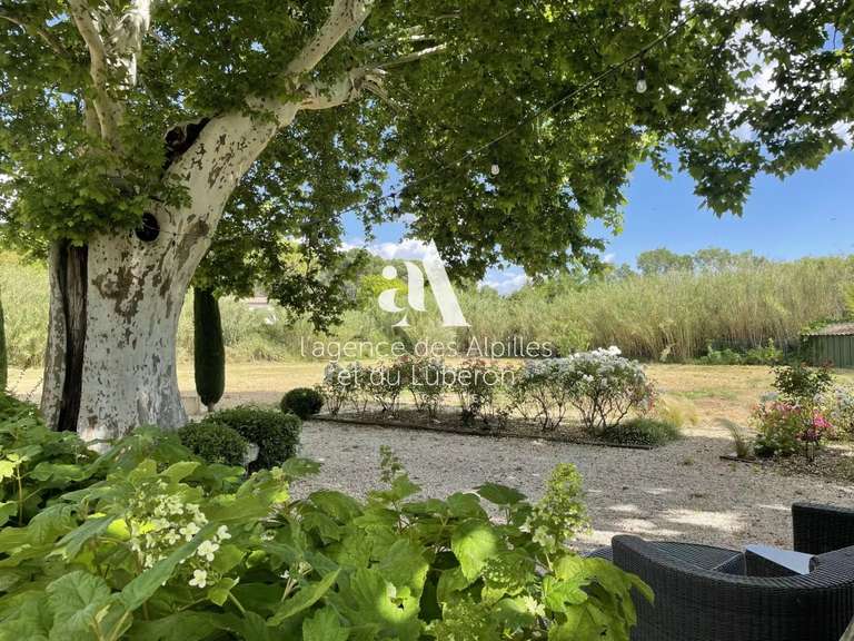 Maison Paradou - 250m²