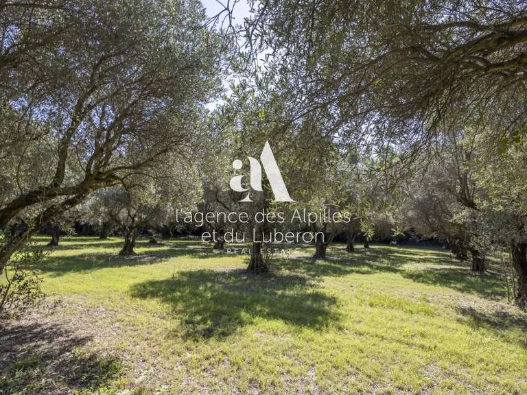 Maison Paradou - 250m²