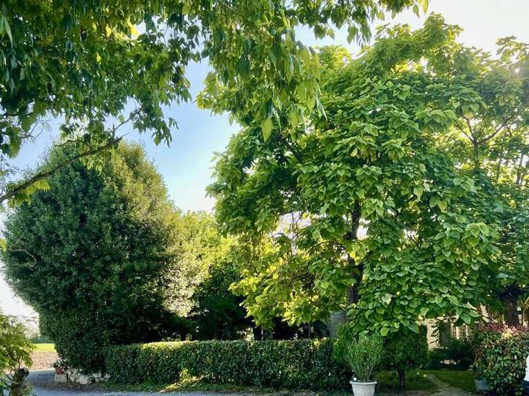 Property Parempuyre - 4 bedrooms