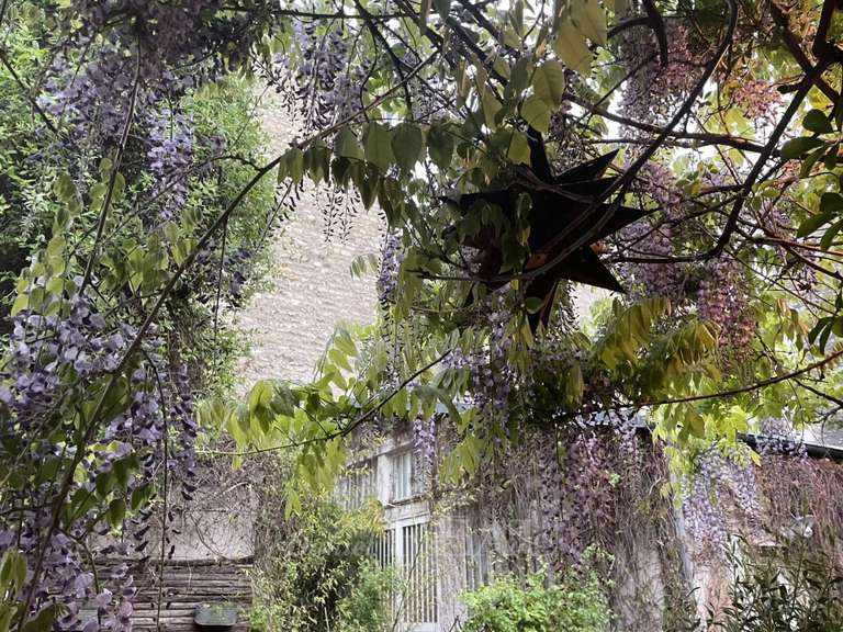 Maison Paris 11e - 1 chambre - 103m²