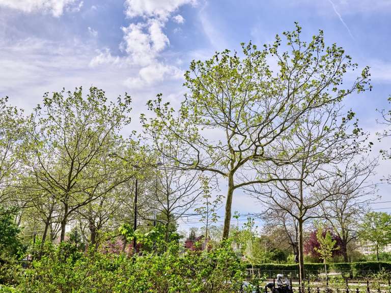 Appartement Paris 16e - 2 chambres - 95m²