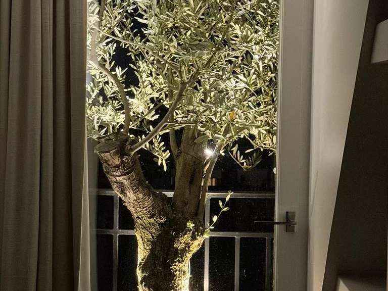 Appartement Paris 16e - 3 chambres - 169m²
