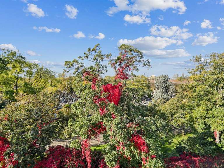 Maison Paris 20e - 4 chambres - 600m²