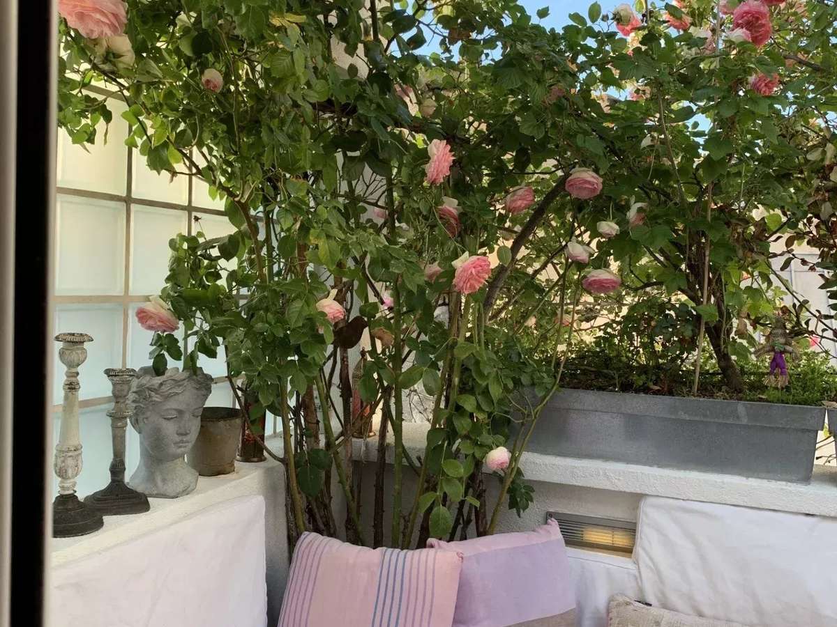 Appartement Paris 6e