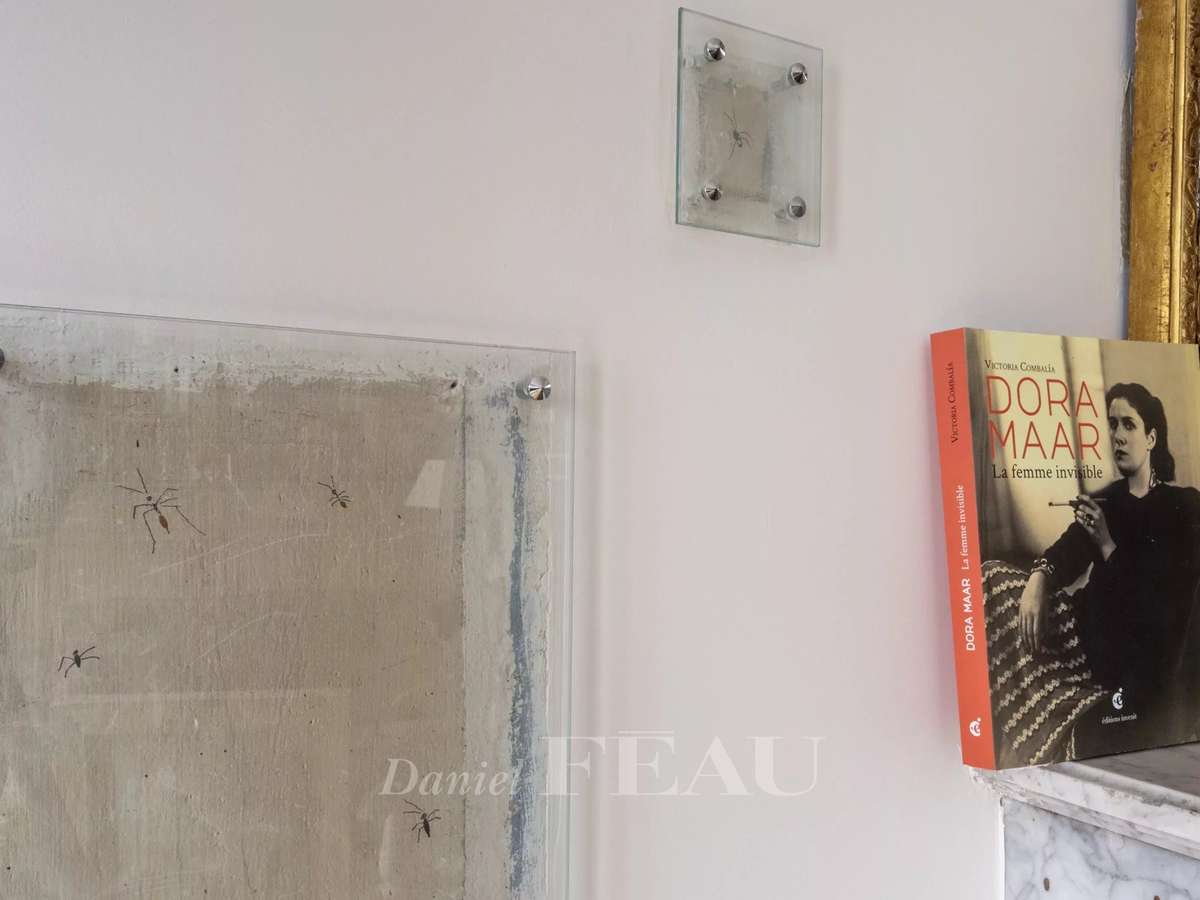 Appartement Paris 6e