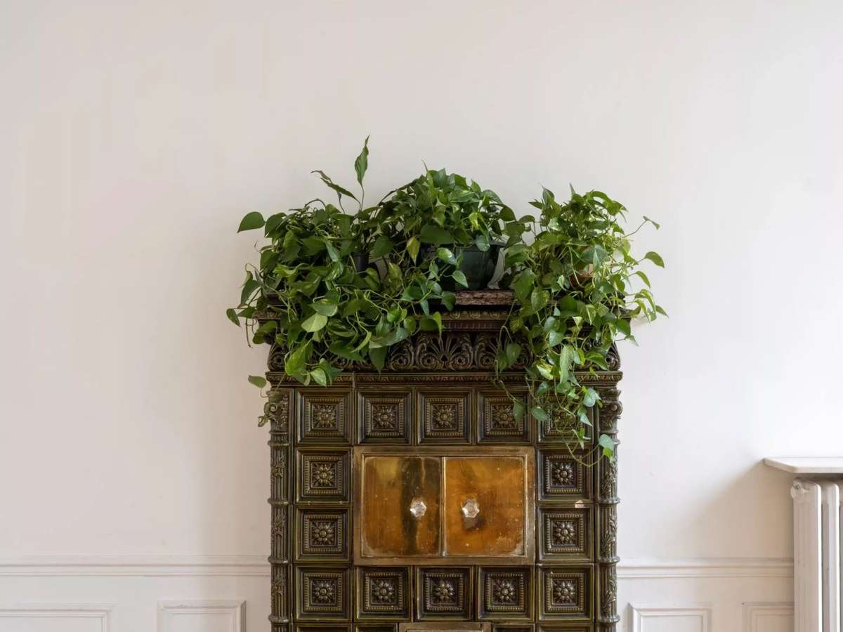 Appartement Paris 7e