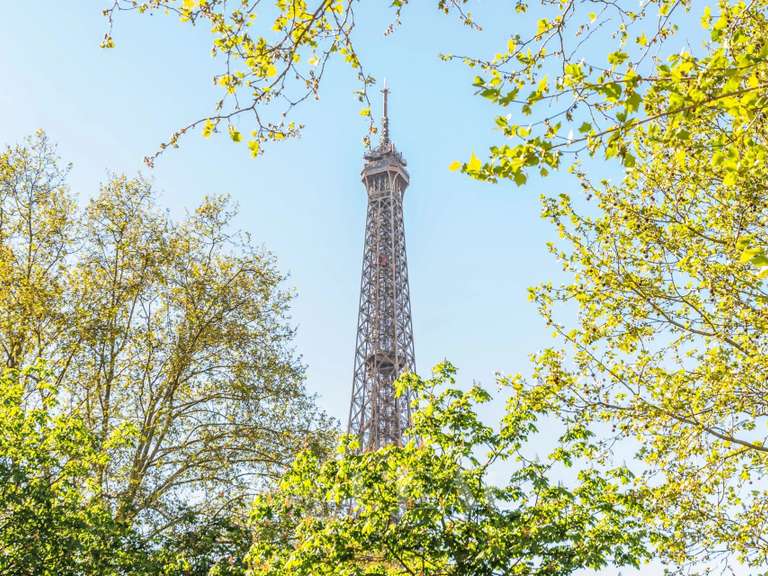 Appartement Paris 7e - 4 chambres - 207m²