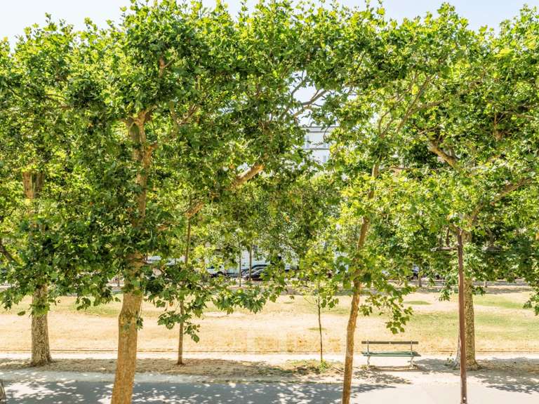 Appartement Paris 7e - 4 chambres - 132m²