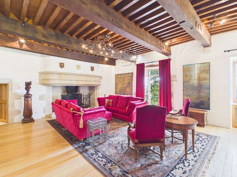 Château Parisot - 6 chambres - 550m²