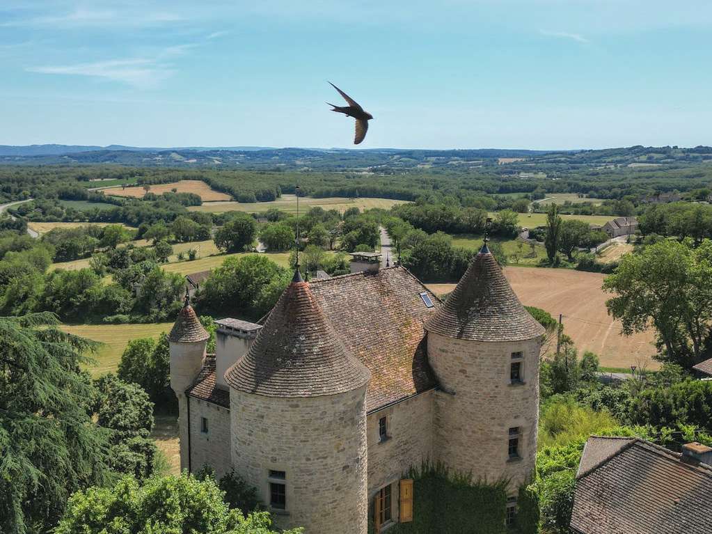 Château Parisot