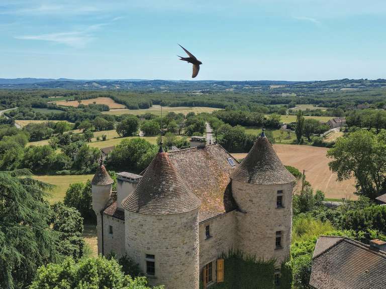 Château Parisot - 6 chambres - 550m²