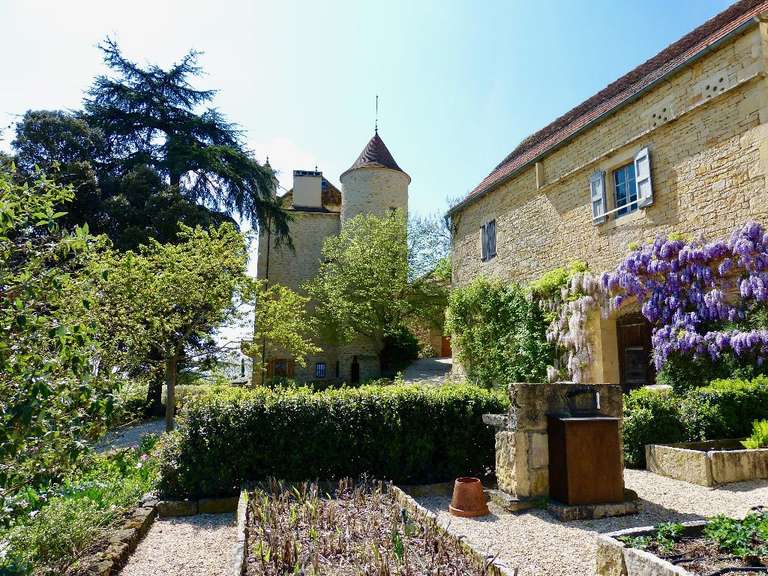 Château Parisot - 6 chambres - 550m²
