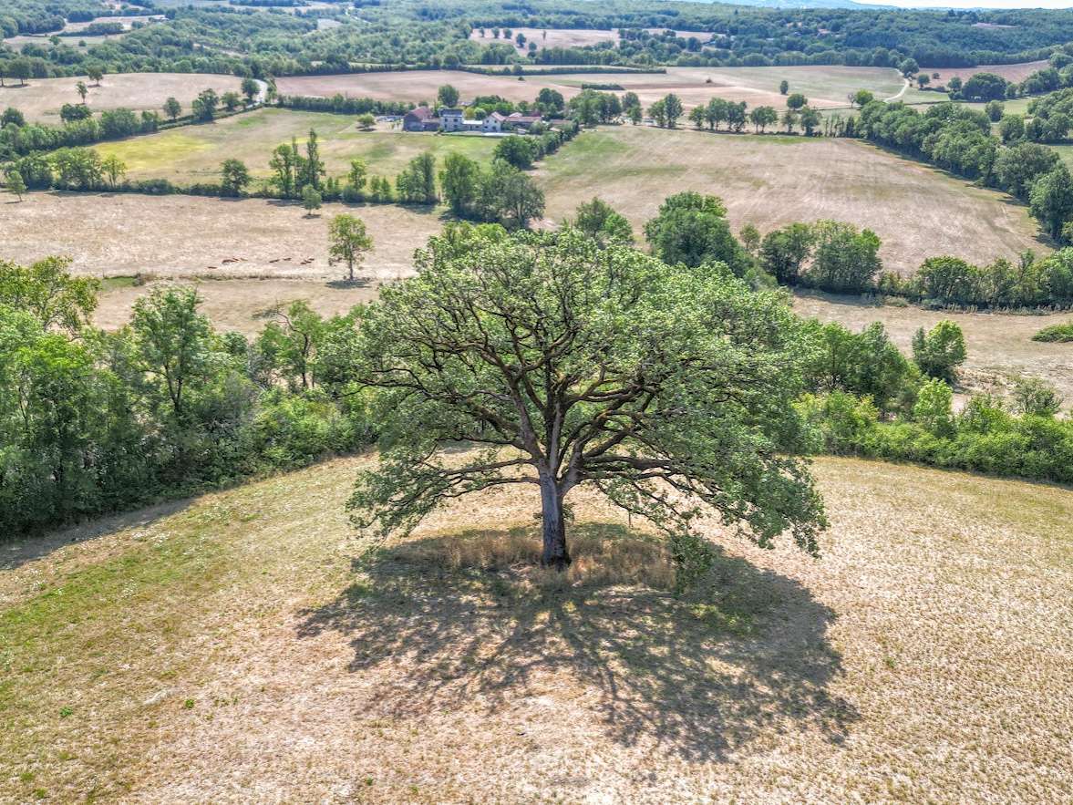 Château Parisot
