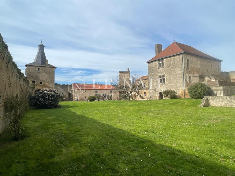 Vente Château Parthenay - 5 chambres