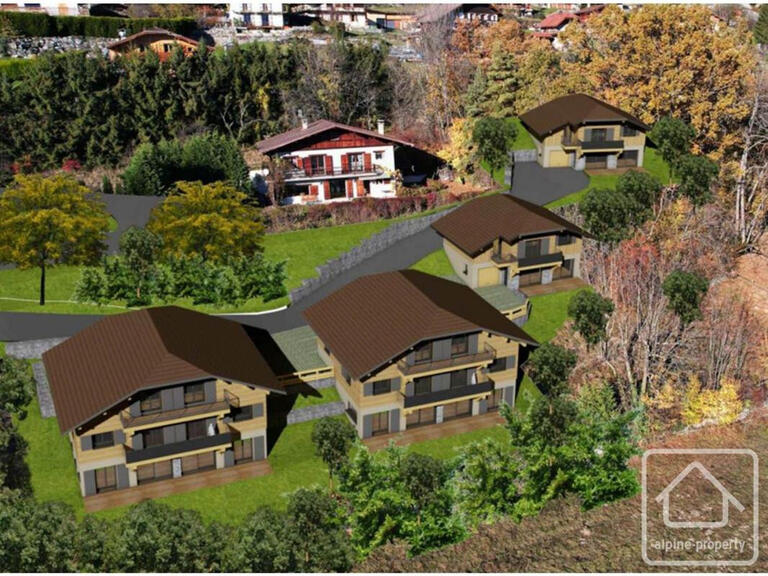 Vente Chalet Passy - 4 chambres