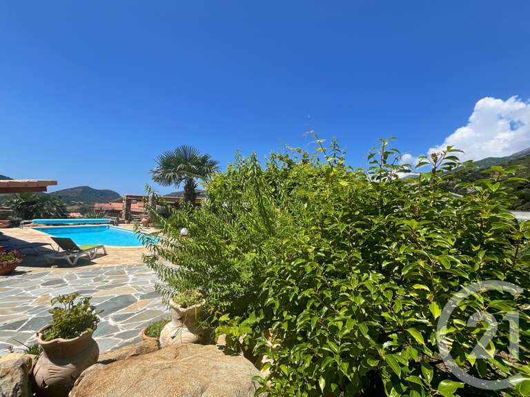 Maison Patrimonio - 4 chambres - 5m²