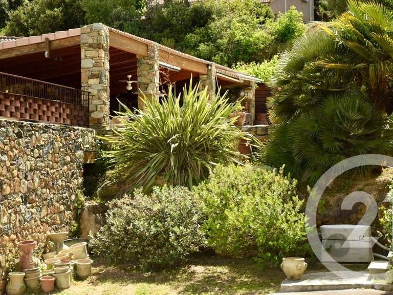 Maison Patrimonio - 4 chambres - 425m²