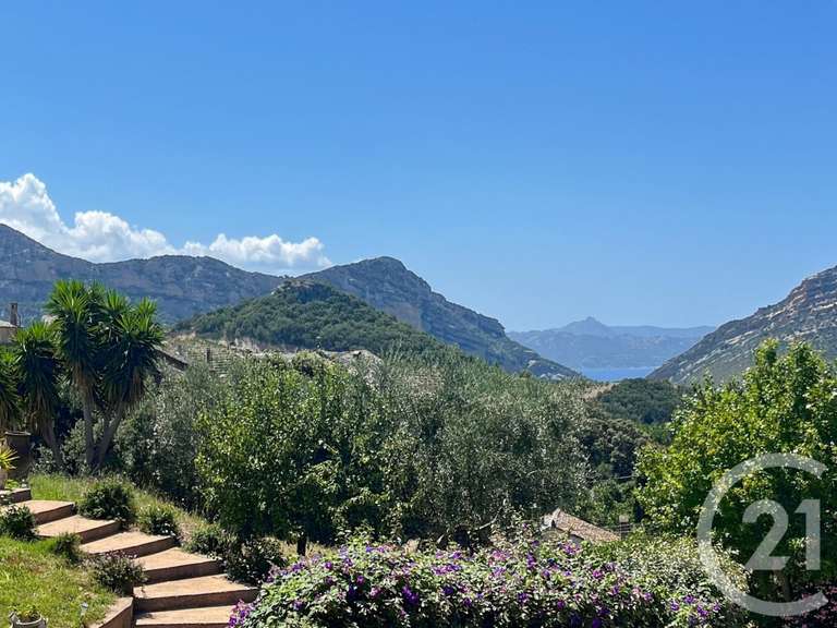 Maison Patrimonio - 4 chambres - 5m²