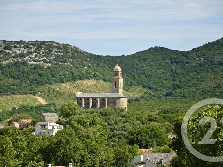 Maison Patrimonio - 4 chambres - 425m²