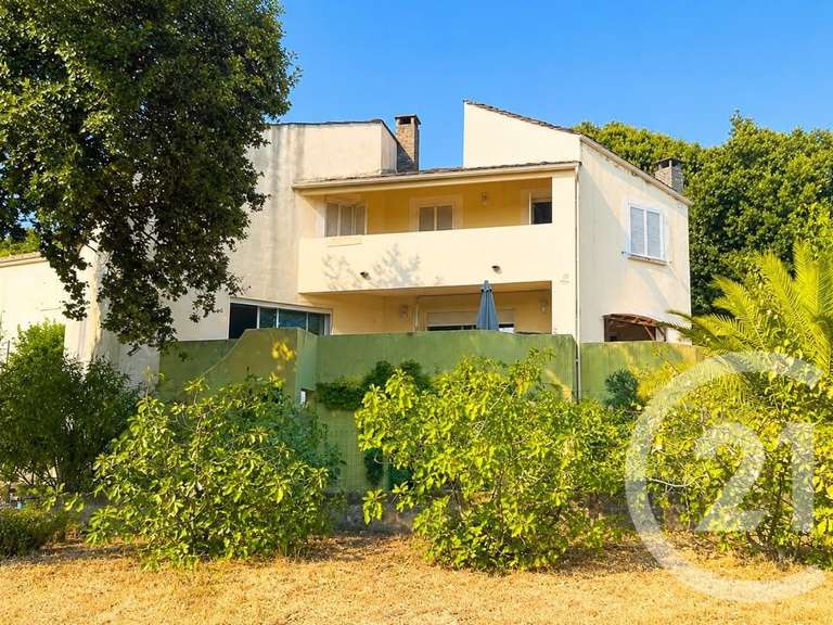 Maison Patrimonio - 5 chambres - 249m²