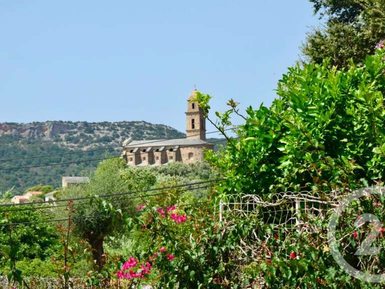 Maison Patrimonio - 5 chambres - 249m²