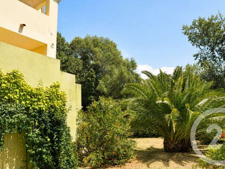 Maison Patrimonio - 5 chambres - 249m²