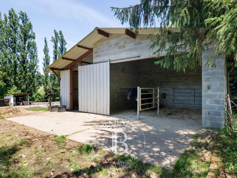 Maison Pau - 4 chambres - 268m²