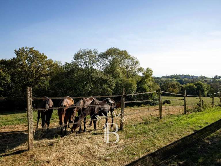 Propriété Pau - 5 chambres - 361m²