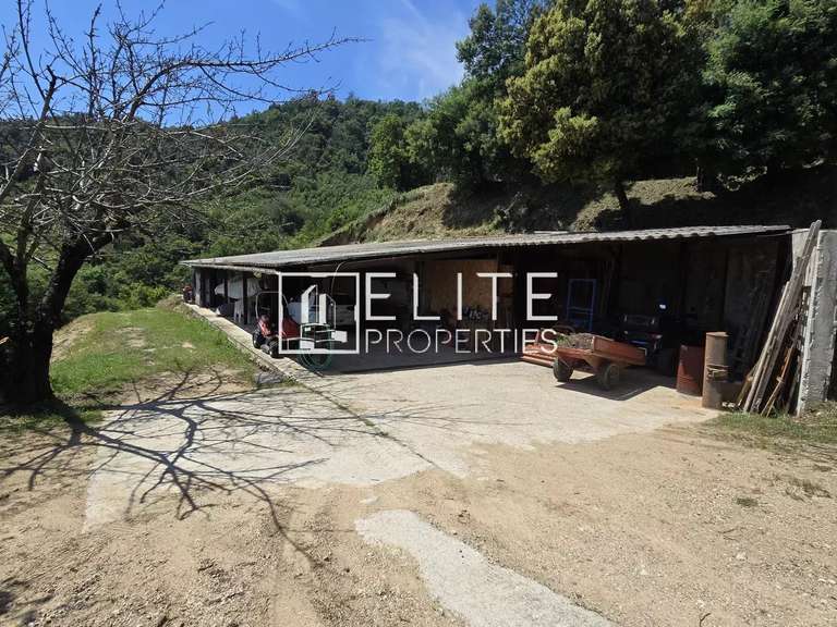 House with Sea view Pégomas - 6 bedrooms - 270m²