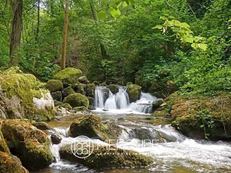 Propriété Pélussin - 7 chambres - 430m²