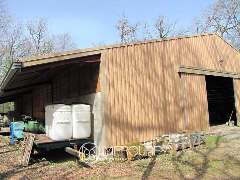 Château Périgueux - 12 chambres - 800m²