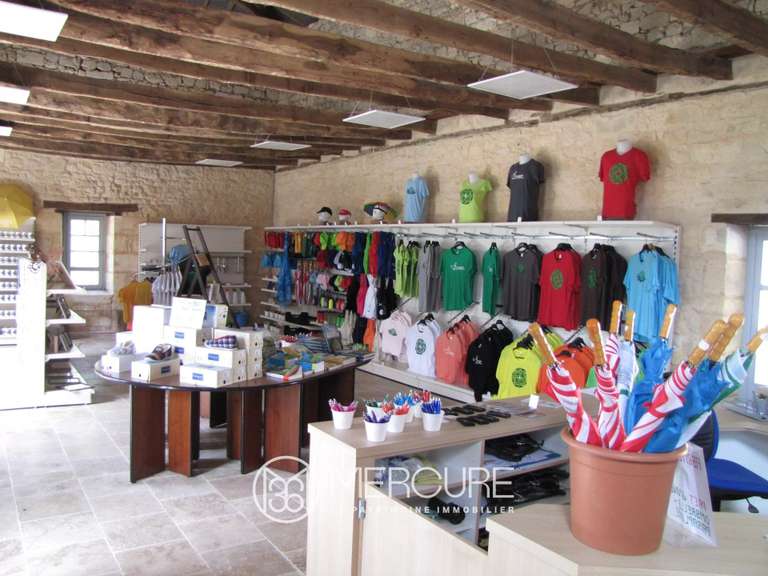 Château Périgueux - 12 chambres - 800m²