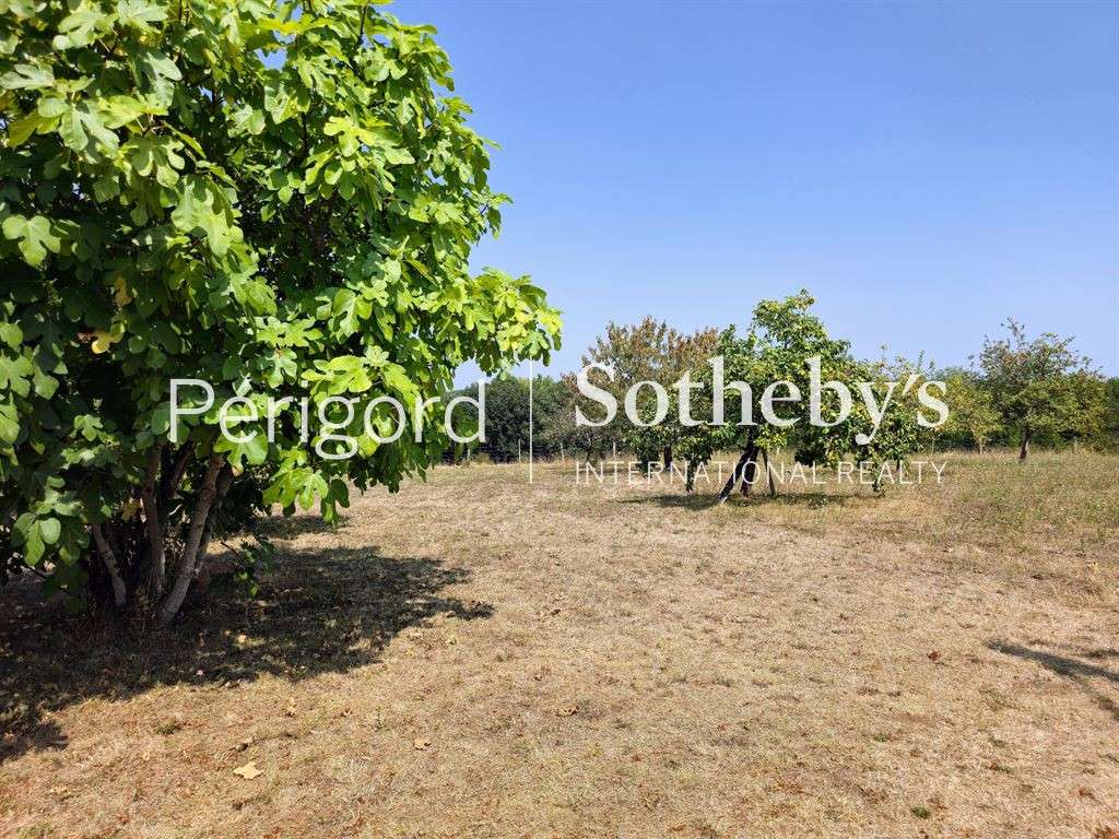 House Périgueux