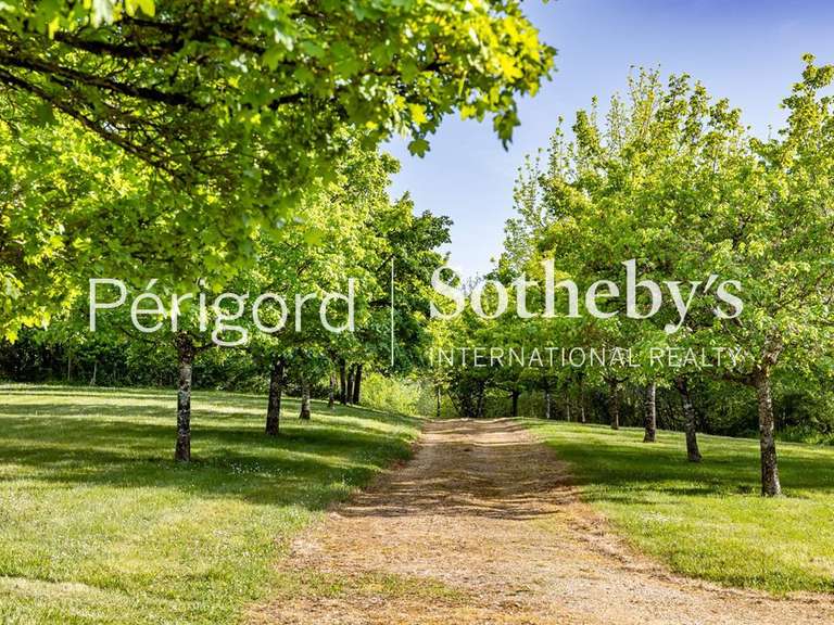Maison Périgueux - 8 chambres - 485m²