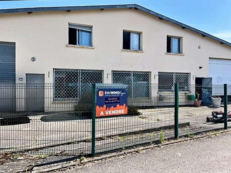 Maison Péronnas - 4 chambres - 900m²